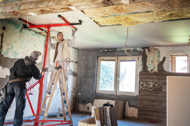 Best Geographic-Specific Insulation Services in Englewood, CO